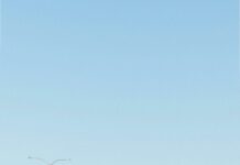 New York Jets Vs Buffalo Bills Stats: Who Dominates the Rivalry?