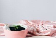 Is Weed Legal in New York? Discover The Truth and Implications