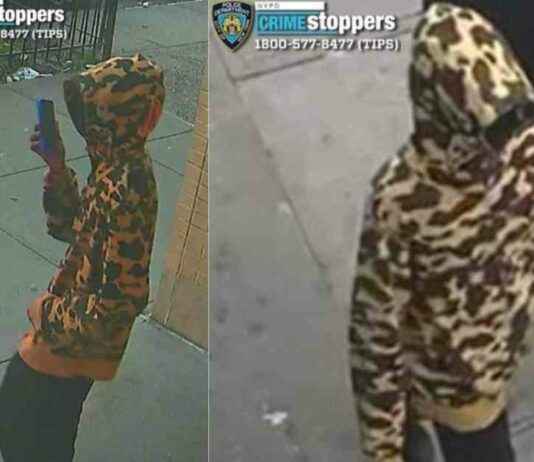 suspect-in-bronx-stray-bullet-shooting-still-at-large-man-killed-in-walker