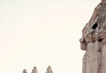 New York Museum of Natural History: Explore Wonders Awaiting You