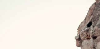 New York Museum of Natural History: Explore Wonders Awaiting You