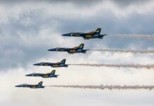 New York Jets vs Tennessee Titans Stats: Who Will Dominate?