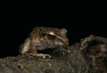 Hop On Hop Off New York: Discover The City’s Hidden Gems