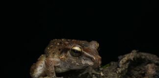 Hop On Hop Off New York: Discover The City’s Hidden Gems