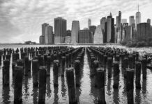 Minnesota Vikings Vs New York Giants Stats: Who Will Dominate?