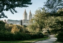 Discover Hilton Garden Inn New York/Central Park South Secrets