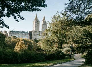 Discover Hilton Garden Inn New York/Central Park South Secrets