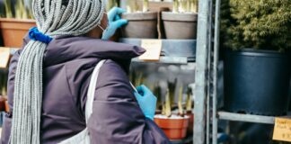 New York Pick 3 Pick 4 Midday: Unlock Winning Strategies Today