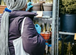 New York Pick 3 Pick 4 Midday: Unlock Winning Strategies Today