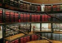 New York Jets Vs New England Patriots: Who Will Dominate Next?