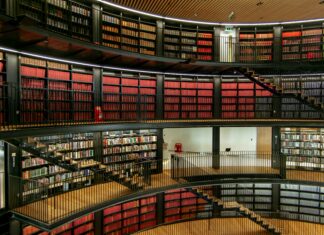 New York Jets Vs New England Patriots: Who Will Dominate Next?